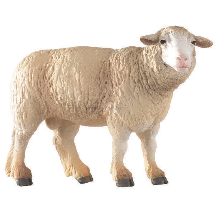 Boite de 5 moutons merinos-8712_copy-33