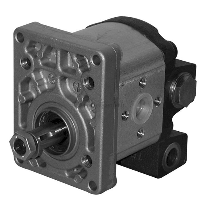 Pompe hydraulique Bosch pour Fiat-Someca 80-90-1232940_copy-30