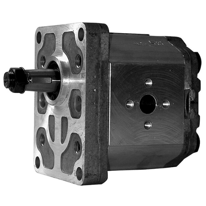 Pompe hydraulique pour Landini C 4500 Cingolati-1536151_copy-30