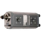 Double pompe hydraulique pour Case IH C 70 A-1233941_copy-20