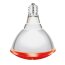 Lampe IR/PAR vis rouge Interheat 100 W-152547_copy-01