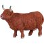 Vache Highland (vendu par 5)-1773276_copy-00
