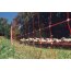 Filet mouton rouge hauteur 0,90 m 50m pour mouton Beaumont-152870_copy-00