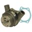 Pompe à eau pour Renault-Claas N 71-1558407_copy-00